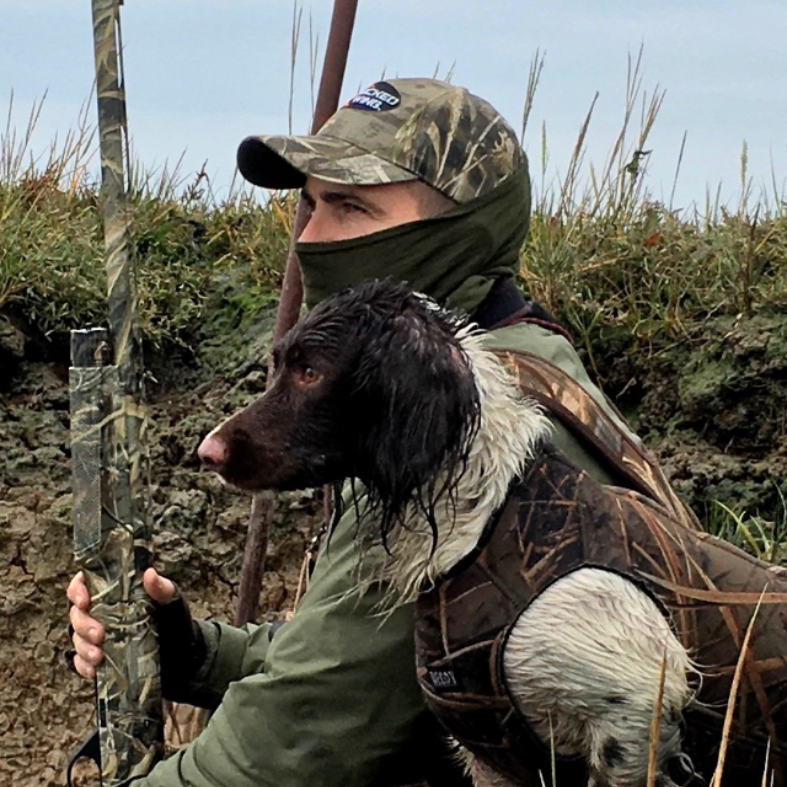 Terry and springer spaniel in a ditch