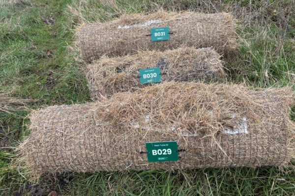 Chichester Wildfowlers and Conservation Association