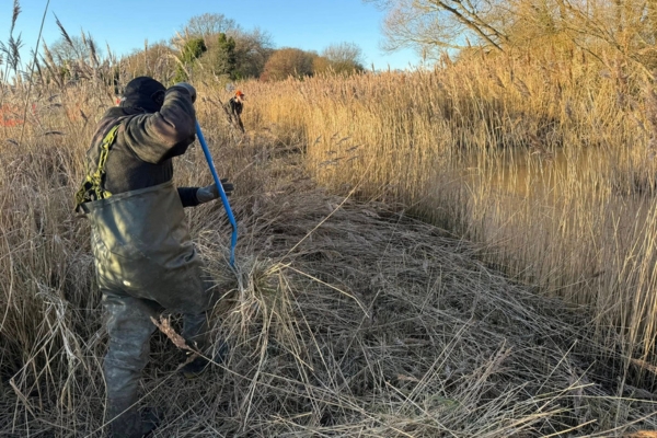 Chichester Wildfowlers and Conservation Association