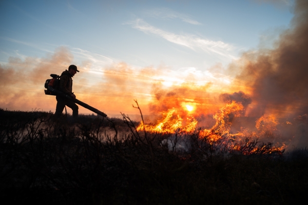 gamekeepers and wildfire