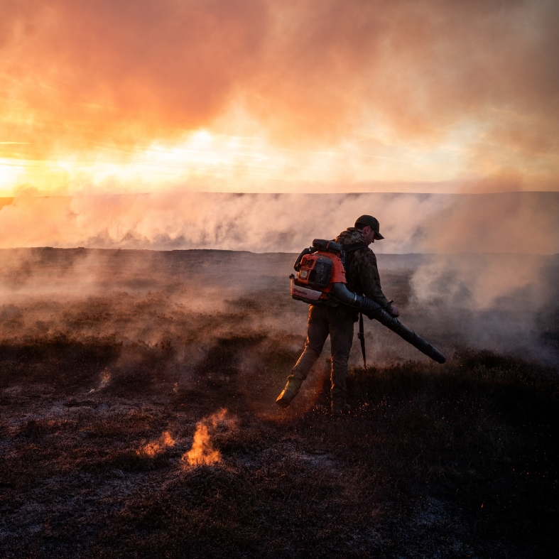 gamekeepers and wildfire
