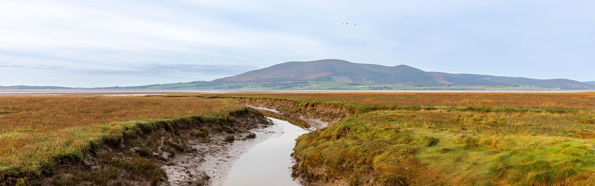 Scotland Wildfowling