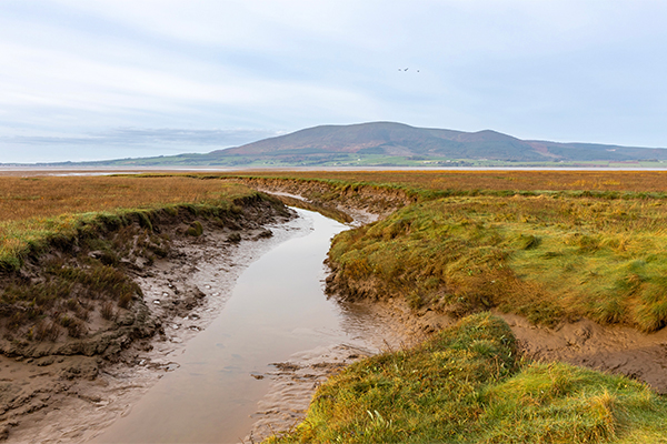 Scotland Wildfowling