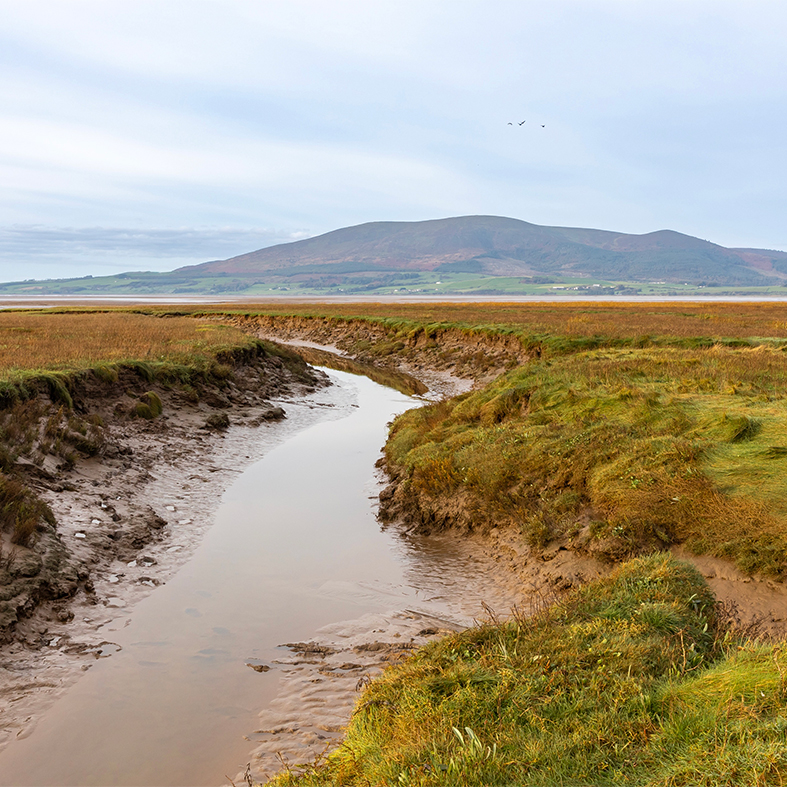 Scotland Wildfowling