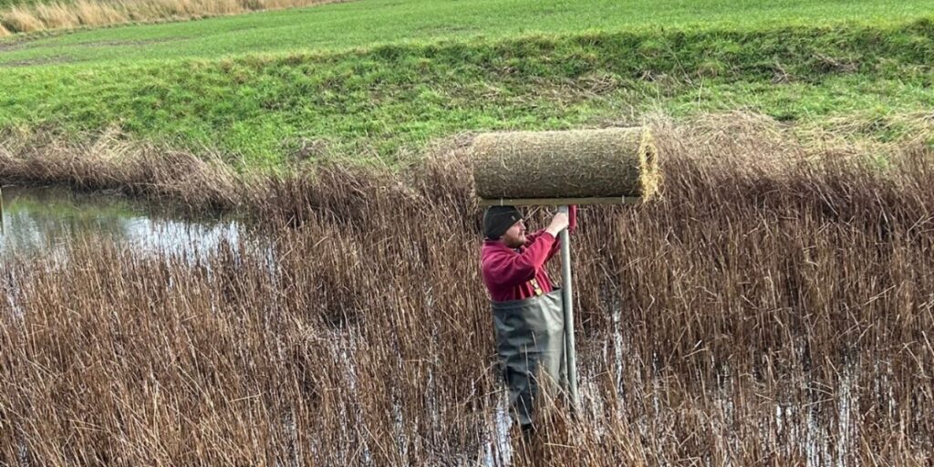 Fenland Wildfowlers duck nest tube installation