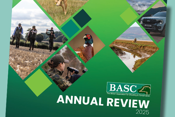 Annual review 2025