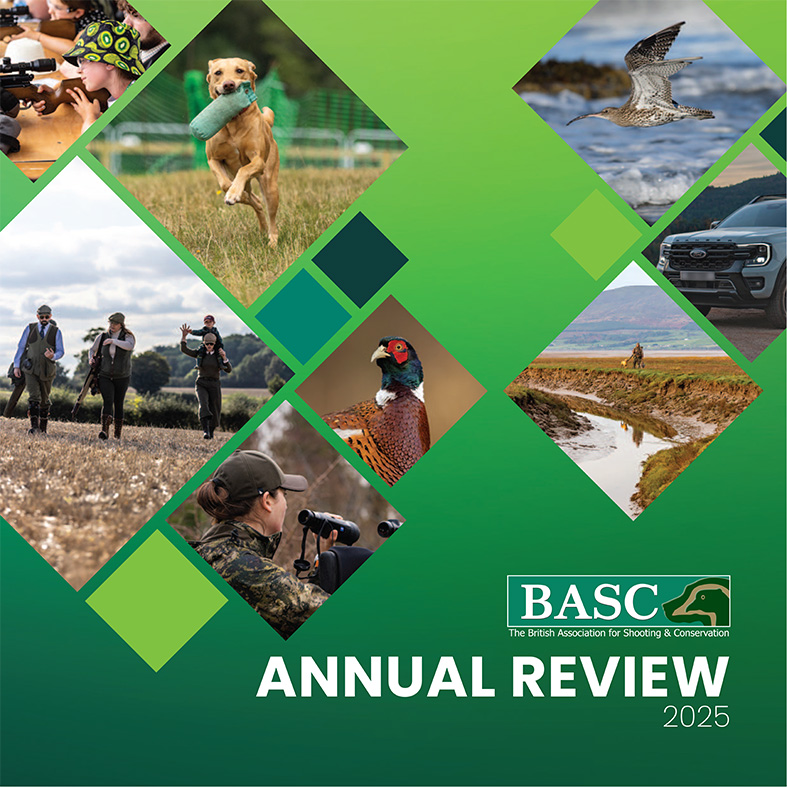 Annual review 2025