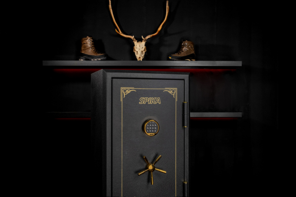 ISB Gun safe