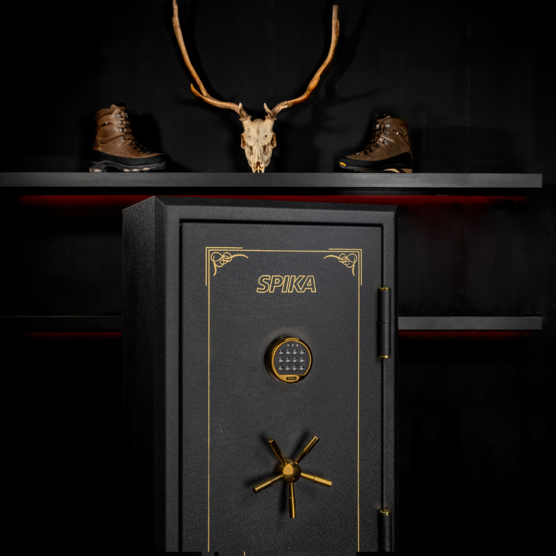ISB Gun safe