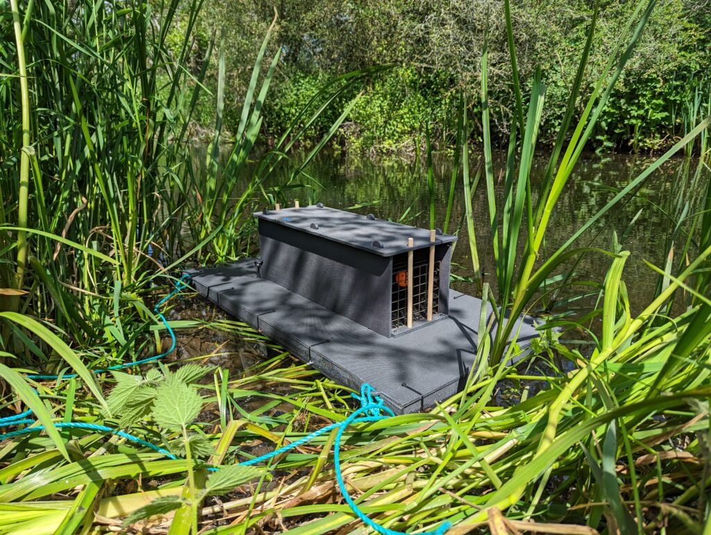 Raft