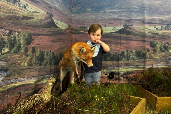 Scottish Game Fair