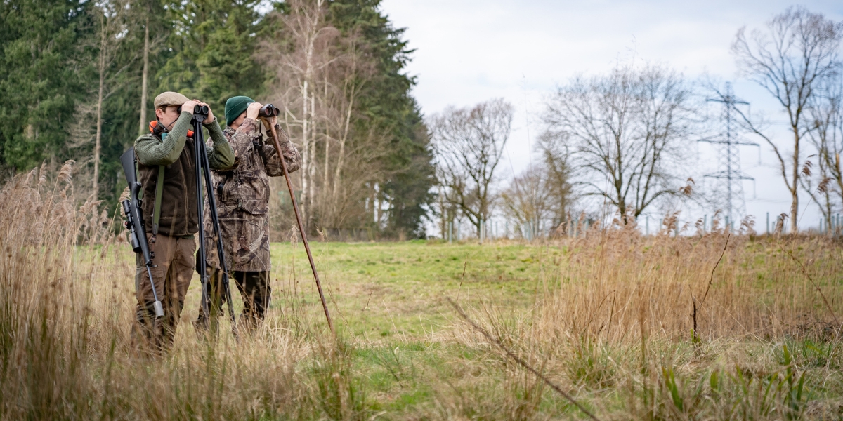 deer management