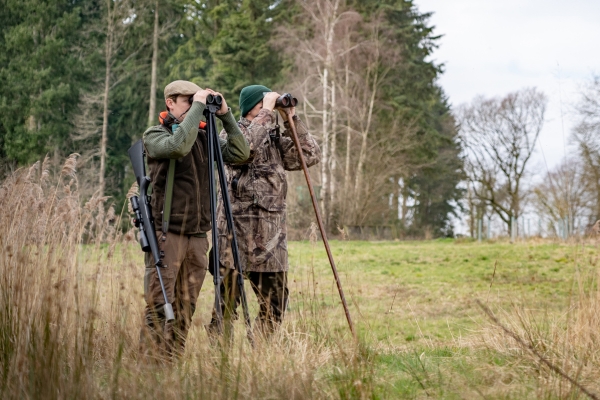 deer management