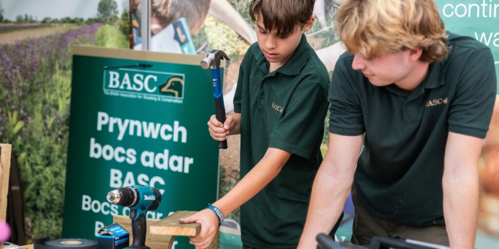 The Royal Welsh Show
