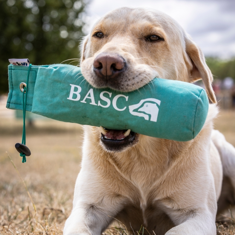 The Game Fair