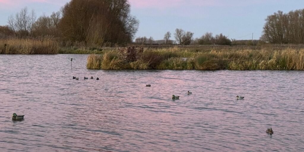 Fenland Wildfowlers