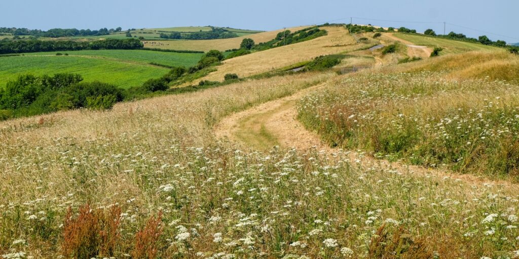 uk countryside