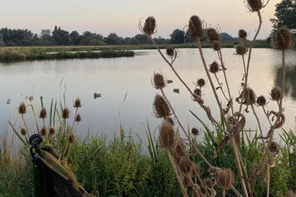 Fenland wildfowlers