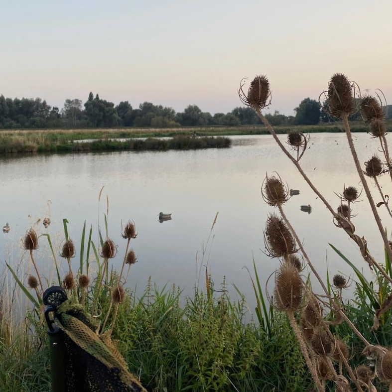 Fenland wildfowlers