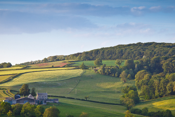 Countryside