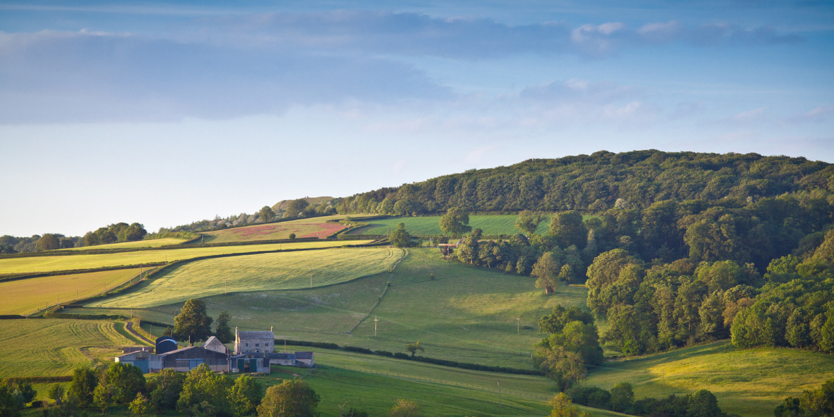 countryside scene